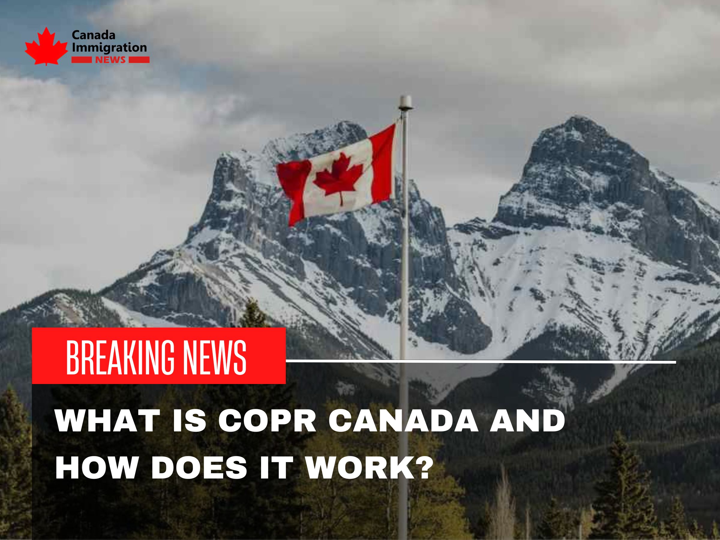 Canada Immigration News, canadaimmigrationnews.ca