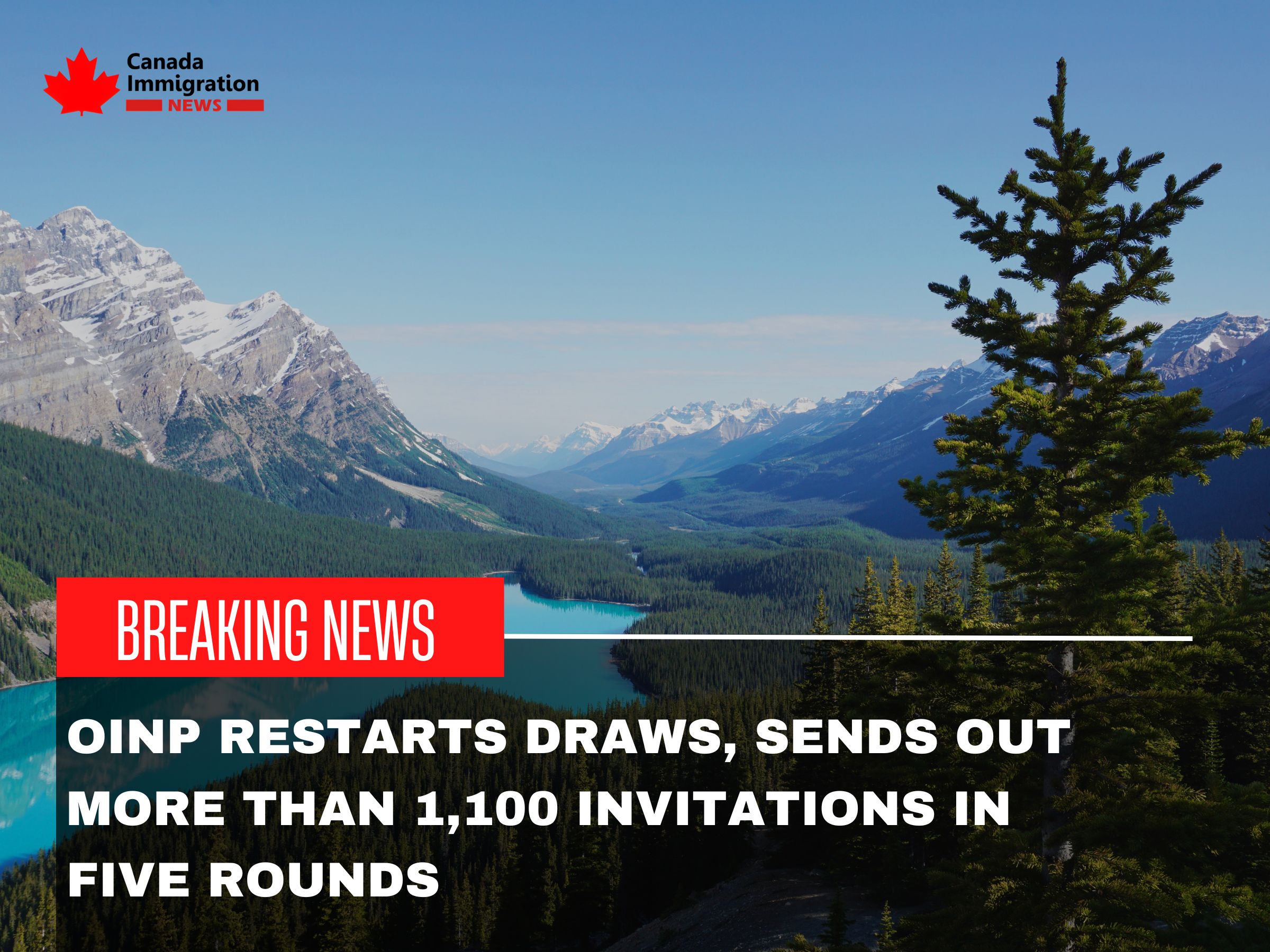 Canada Immigration News, canadaimmigrationnews.ca